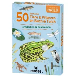 MOSES. VERLAG 9761 Expedition Natur 50 heimische Tiere & Pflanzen an Bach & Teich