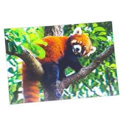 Cornelißen Postkarte 3D Postkarte Roter Panda, 3D