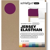SCHLAFGUT Easy Jersey Elasthan Boxspring 140 x 200 - 160 x 220 cm purple deep