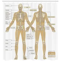ABAKUHAUS Duschvorhang Anatomie Menschliches Skelett-System 175 x 180 cm