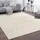 Paco Home - Teppich, Kurzflor-teppich Für Wohnzimmer, Soft, Weich, Waschbar, In Beige 300x400 Cm