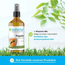 Bioherba Bio Halsspray Propolis Extrakt Tropfen 50 ml
