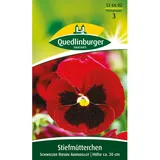 QUEDLINBURGER Stiefmütterchen ''Schweizer Riesen Abendglut''