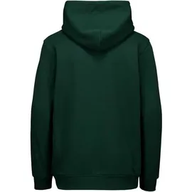 Poc Hoodie Green 12