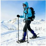 vidaXL 3 in 1 Schneeschuhe Silber/Schwarz 53,5