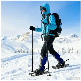 vidaXL 3 in 1 Schneeschuhe Silber/Schwarz 53,5