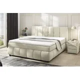 Jockenhöfer Cora 201 x 219 cm H2/H3 Beige