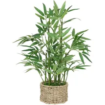 Atmosphera Créateur d'intérieur Bambus ly natürlicher Topf h46cm