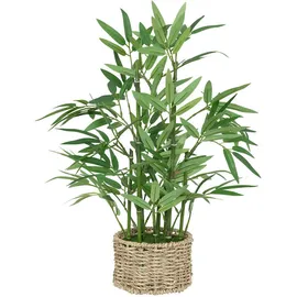 Atmosphera Créateur d'intérieur Bambus ly natürlicher Topf h46cm