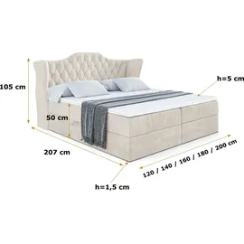 altdecor Boxspringbett mit Matratze Boxbett, Topper, Polsterbett mit Bettkasten VILA - 180x200 - Beige Casablanca