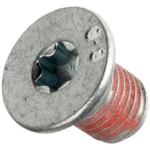 Hella 8DZ 355 209-021 Schraube, Bremsscheibe