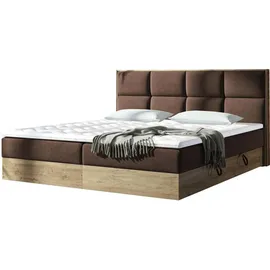 Mirjan24 Euphoria 180 x 200 cm Braun/Beige