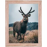 rahmendesign24 Milano Eiche natur 21x29,7 cm 1 St.