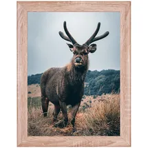 rahmendesign24 Milano Eiche natur 21x29,7 cm 1 St.