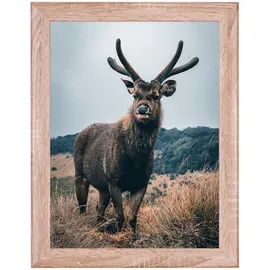 rahmendesign24 Milano Eiche natur 21x29,7 cm 1 St.