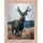rahmendesign24 Milano Eiche natur 21x29,7 cm 1 St.