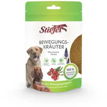 Stiefel Bewegungskräuter 100 g