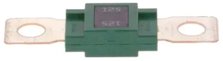 BOSCH Sicherung 1987531001