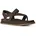 Toe Post Braun 37