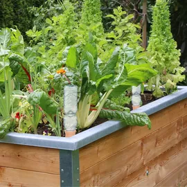 Relaxdays Tonspitzen Bewässerung 4er Set Gießhilfe für 1,5 l PET Flaschen HBT 15 x 5,5 x 5 cm terracotta