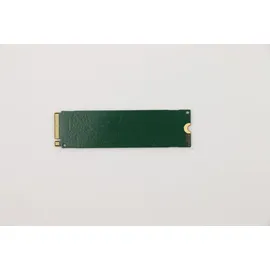 Lenovo 256 GB M.2