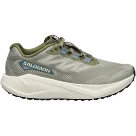 Salomon Aero Blaze 3 GRVL Herren Grün/Beige 44
