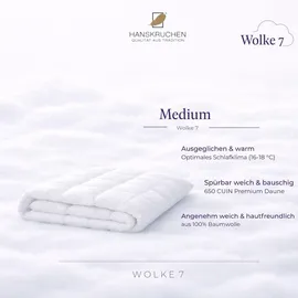 HANSKRUCHEN GmbH Hanskruchen, Wolke 7 (1740 g, Daune, 260 x 220 cm)