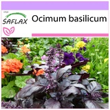 Saflax - Kräuter - Rotes Basilikum - 200 Samen - Ocimum basilicum