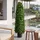 Mendler Künstlicher Buchsbaum HWC-Q89, Buchs Buxus im Topf Dekobaum Kunstpflanze Kegel naturgetreu immergrün Outdoor 120x35x35cm