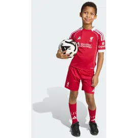 adidas FC Liverpool Minikit Heim 2025/26 rot Kinder Gr. 104