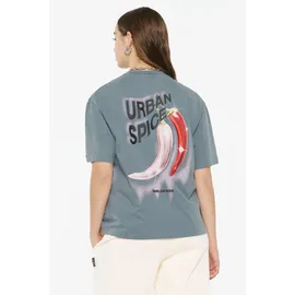 Harlem Soul HARLEM SOUL, Damen, Gr. XXL, blau (fog blau), Single Jersey, Material: 100% Baumwolle, bedruckt, regular fit normal, Rundhals, eingesetzt gerader Abschluss, Shirts Rundhalsshirt, aus Baumwolle