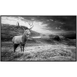 Papermoon Infrarotheizung Hirsch Schwarz + Weiss«, Matt-Effekt - bunt