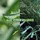 Glynt Hydro 50 ml
