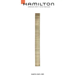 Hamilton - Ventura Band-set Edelstahl Pvd2n H695.243.100 - gold