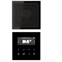 Jung Radio RDS schwarz digi 1Weck 16speich LS DAB 1 SW mit NT UKW-Empfänger