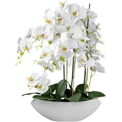 Kunstpflanze Orchideen Weiß/Grün