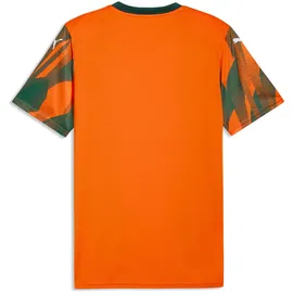 Puma teamFINAL Graphic Trikot Orange/Weiß L