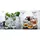 Lyngby Glas Melodia Whiskyglas 0,31 l 6 St.