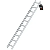 Proregal Dachleiter Alu 10 Sprossen