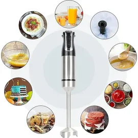 Royalty Line RL-ESTM800 Stabmixer