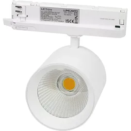 LED-Line Lumicanto 1 6-20W modern Aluminium