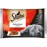 Sheba Selection in Sauce (mit Rindfleisch, Lamm, Huhn, Truthahn)
