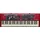Clavia Nord Electro 3 61