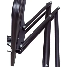 Prosport Basketballkorb Premium Schwarz 230-305 cm