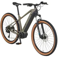 Prophete E-Bike MTB Dice 3.0 Grau-Schwarz Matt 29 Zoll