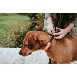 Hunter Convenience Comfort Halsband Neonorange 35