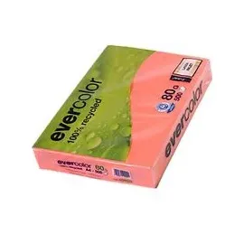 Clairefontaine Evercolor A4 80 g/m2 500 Blatt