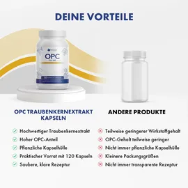 provilea OPC Traubenkernextrakt Kapseln 120 St.