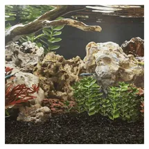 vidaXL Aquarien-Substrat Drachensteine 25 kg