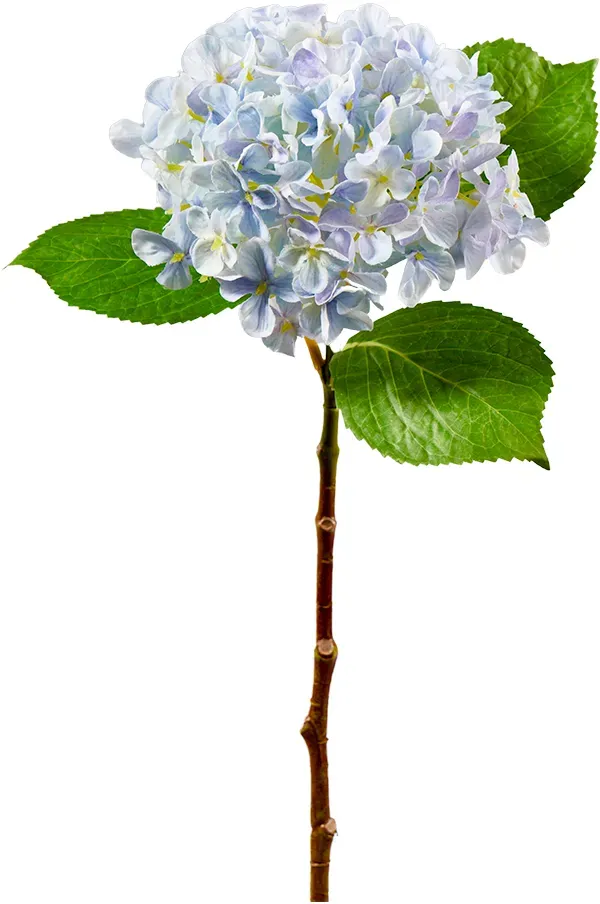 Hortensien Zweig 45cm blau